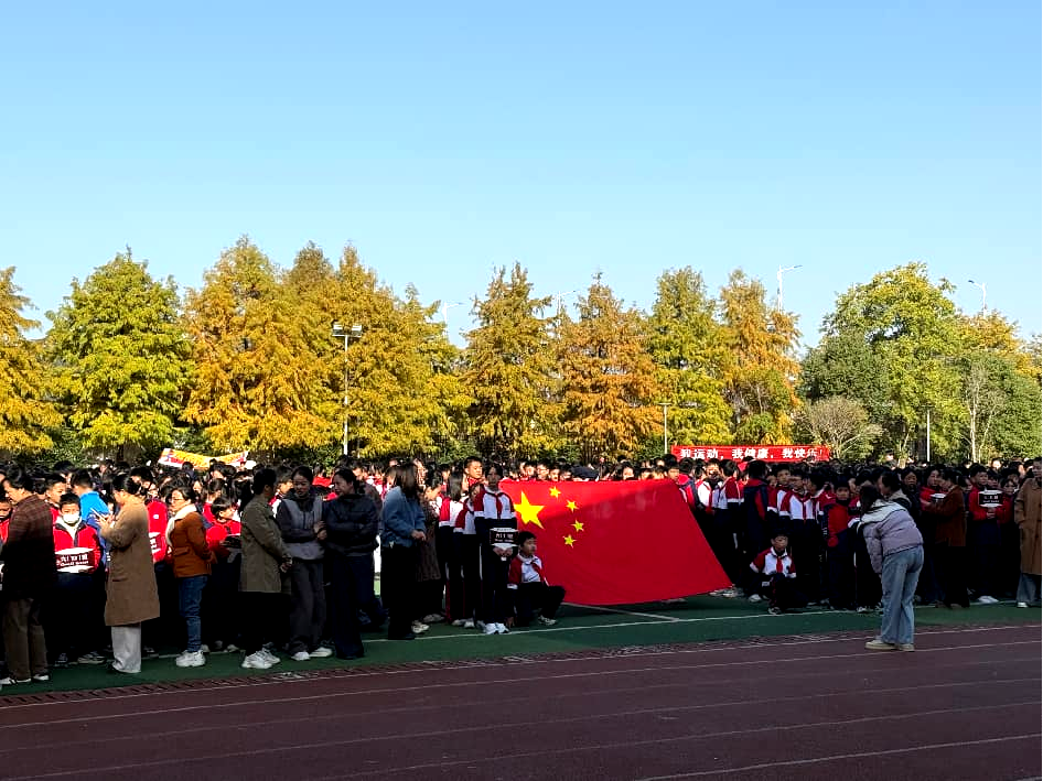 世界杯直播下载-绿茵逐梦，“足”够精彩——临川二小第八届足球联赛圆满落幕