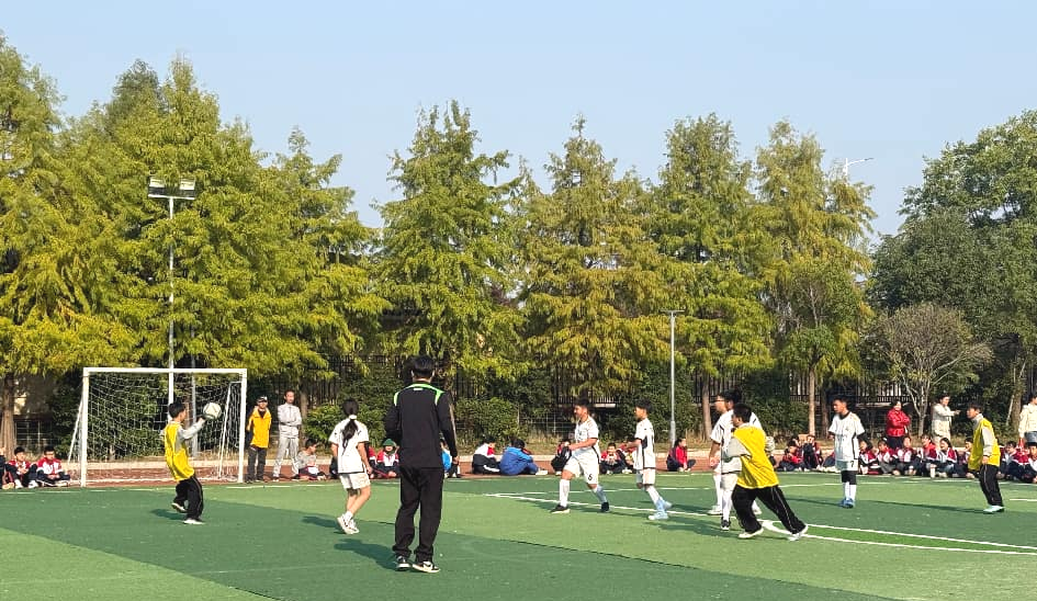 世界杯直播下载-绿茵逐梦，“足”够精彩——临川二小第八届足球联赛圆满落幕